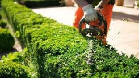 Obrezovanje vegetacije ob občinskih cestah