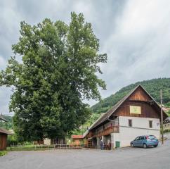 Foto Boris Krstinić