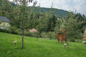 Učni vrt dr. Derganca