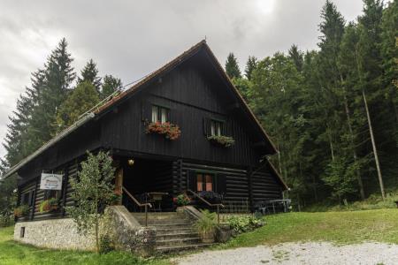 bela-krajina-brunarica-petric-01