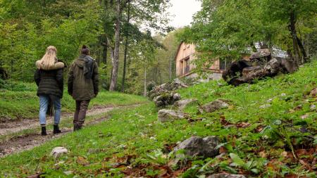 Gozdna vila Sredgora