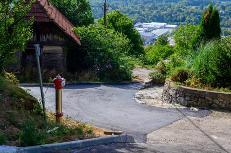 Foto: Uroš Novina