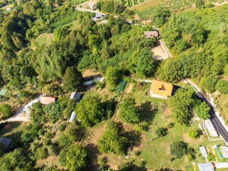 Foto: Uroš Novina