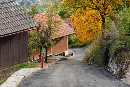 Foto: Uroš Novina