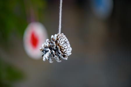 318021768_490284893201136_212729790937858018_n