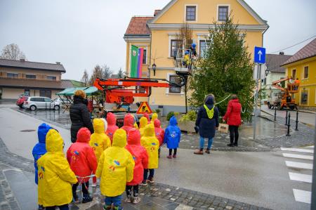 318145800_490284606534498_7008535644255296691_n