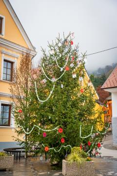 318159925_490285593201066_8880020798797087036_n