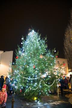 318082767_490630819833210_2607109387375135565_n