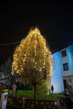 318123756_490630893166536_1562881132326731570_n