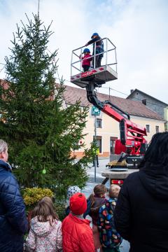 Okrasitev smrekice na Štefanovem trgu